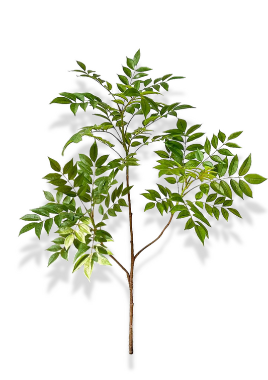 Artificial Plant | Ficus Tree Nandina Leaves - 29" to 47"