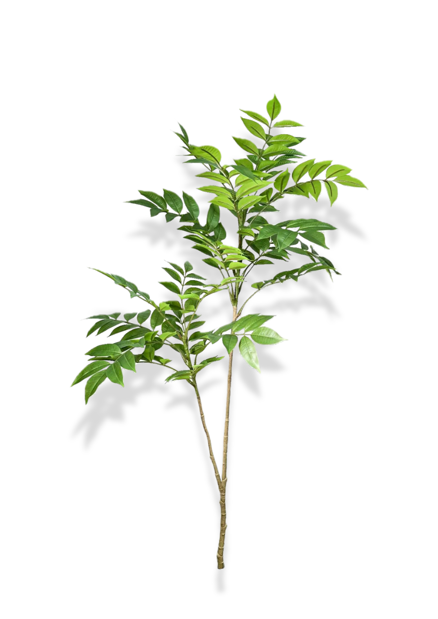 Artificial Plant | Ficus Tree Nandina Leaves - 29" to 47"