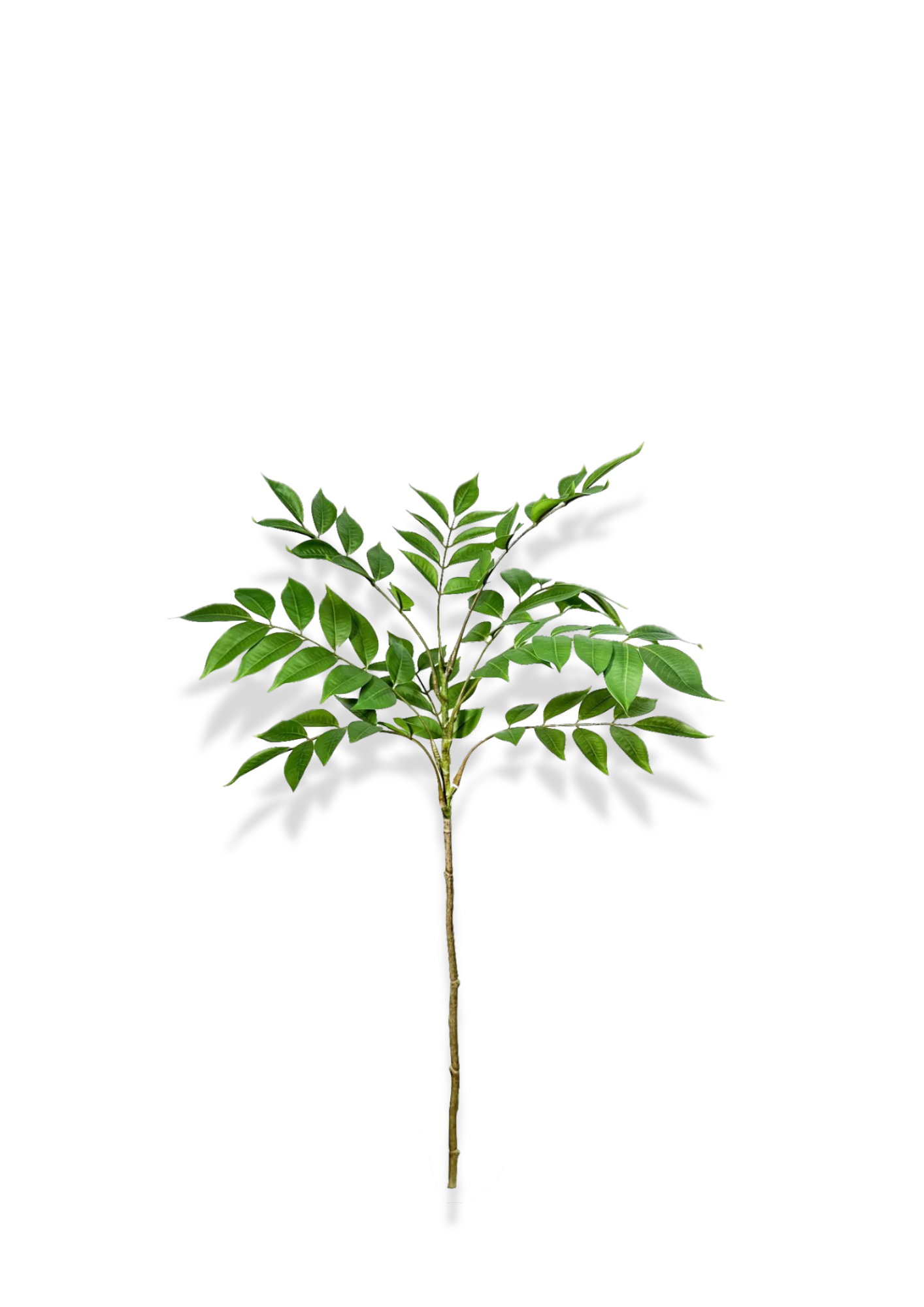 Artificial Plant | Ficus Tree Nandina Leaves - 29" to 47"