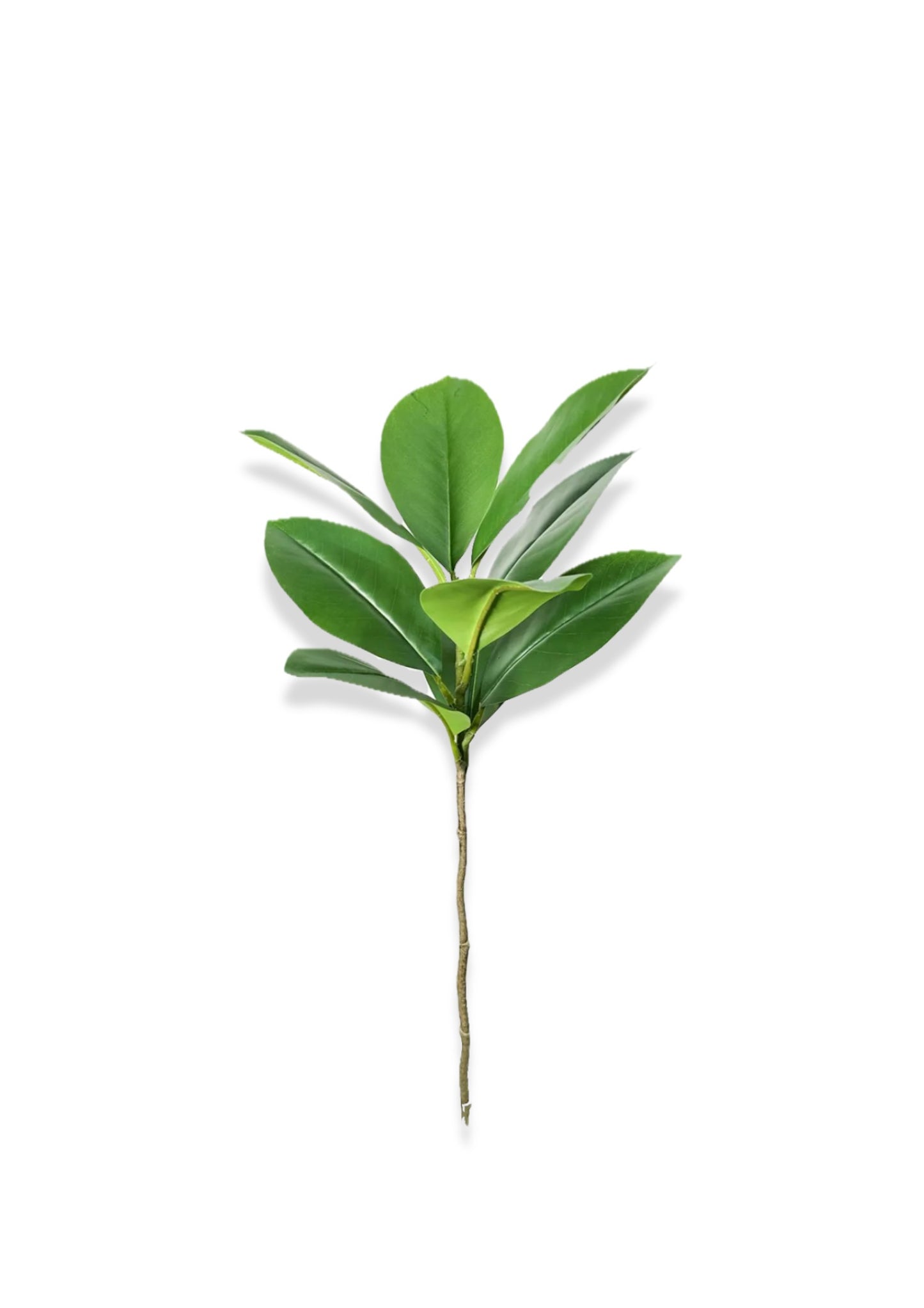 Artificial Tree | Fiddle Leaf Fig Faux Plant - 29" to 54"